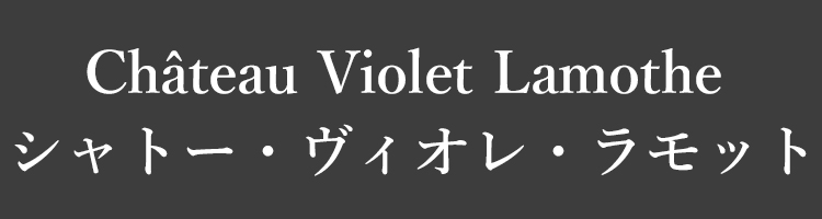 貴腐ワイン シャトー ヴィオレ ラモット 2019 フランス ソーテルヌ セミヨン ソーヴィニョンブラン ミュスカデル 甘口 : 0538120119  : 赤坂ワインストア エラベル - 通販 - Yahoo!ショッピング