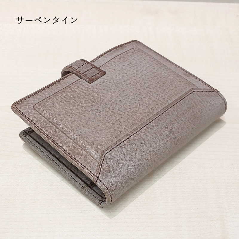 Davinci×NAGASAWA システム手帳 ロロマ クライム M5（マイクロ5