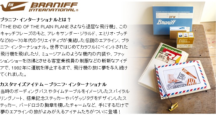 MIDORI（ミドリ） MIDORI BRANIFF ブラニフ チャーム バード柄・飛行機