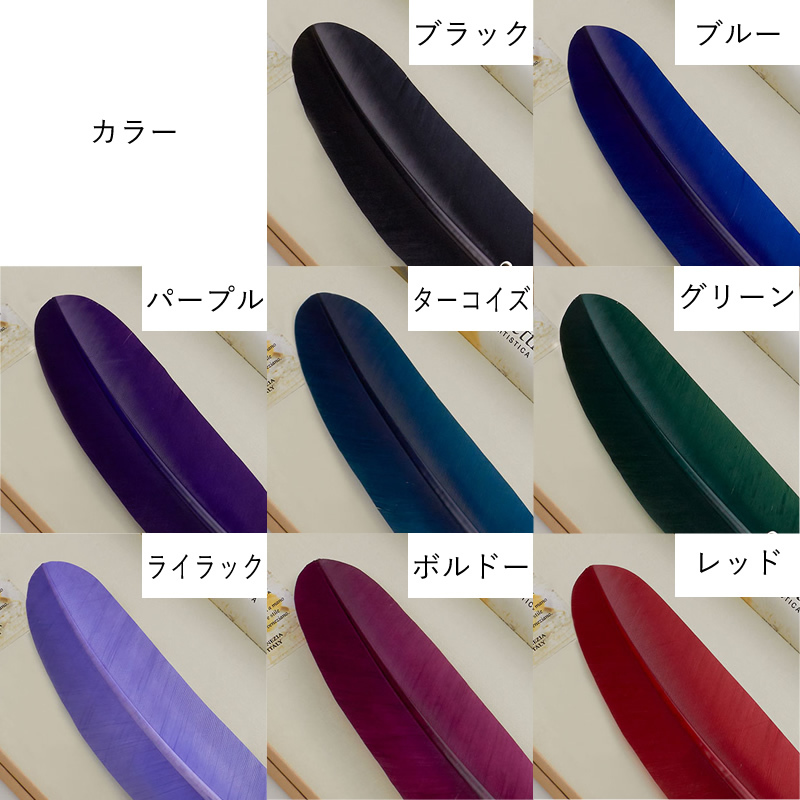 set84_3.jpg
