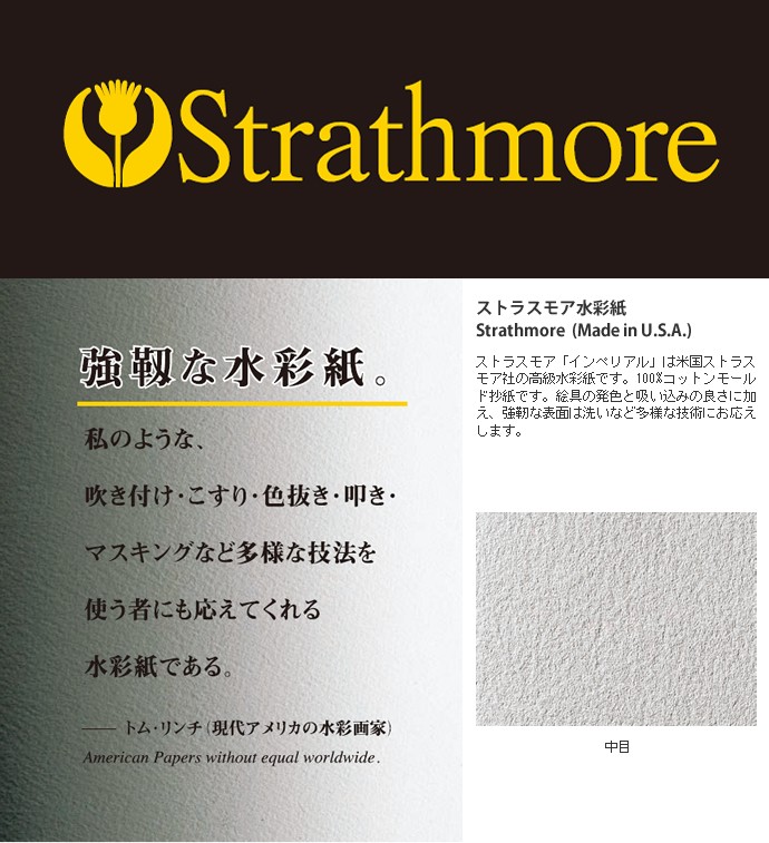 ファッションなデザイン 【お得な3冊まとめ】Strathmore 水彩紙 インペリアル スケッチブック ブロックタイプ F6サイズ スケッチブック