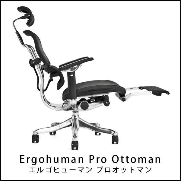 日本唯一のエルゴヒューマン特約店 - Ergohuman(エルゴヒューマン