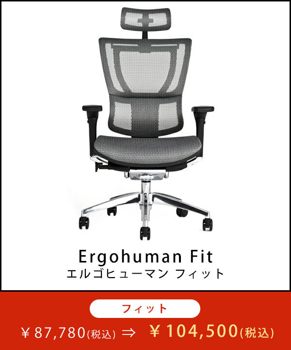 日本唯一のエルゴヒューマン特約店 - Ergohuman(エルゴヒューマン