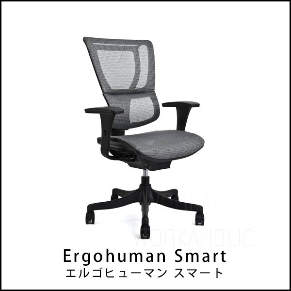 日本唯一のエルゴヒューマン特約店 - Ergohuman(エルゴヒューマン