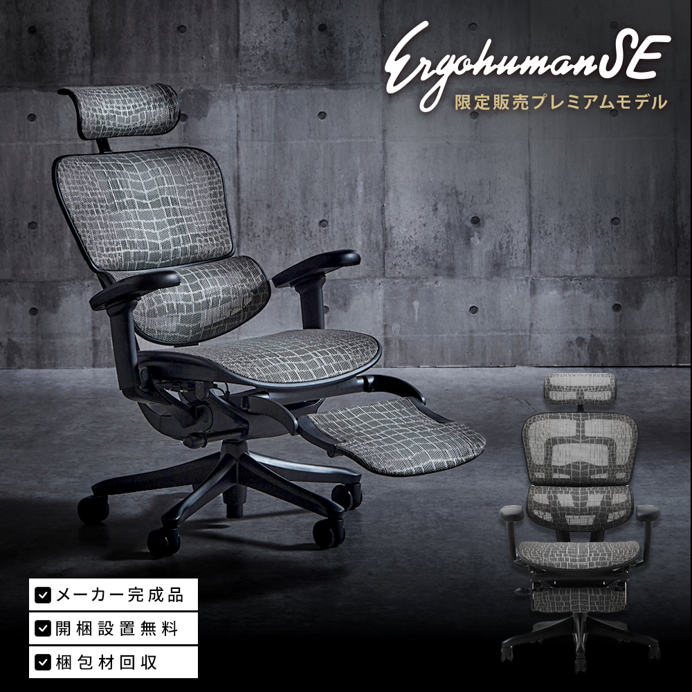【 300脚 限定モデル 】Ergohuman SE エルゴヒューマン SE