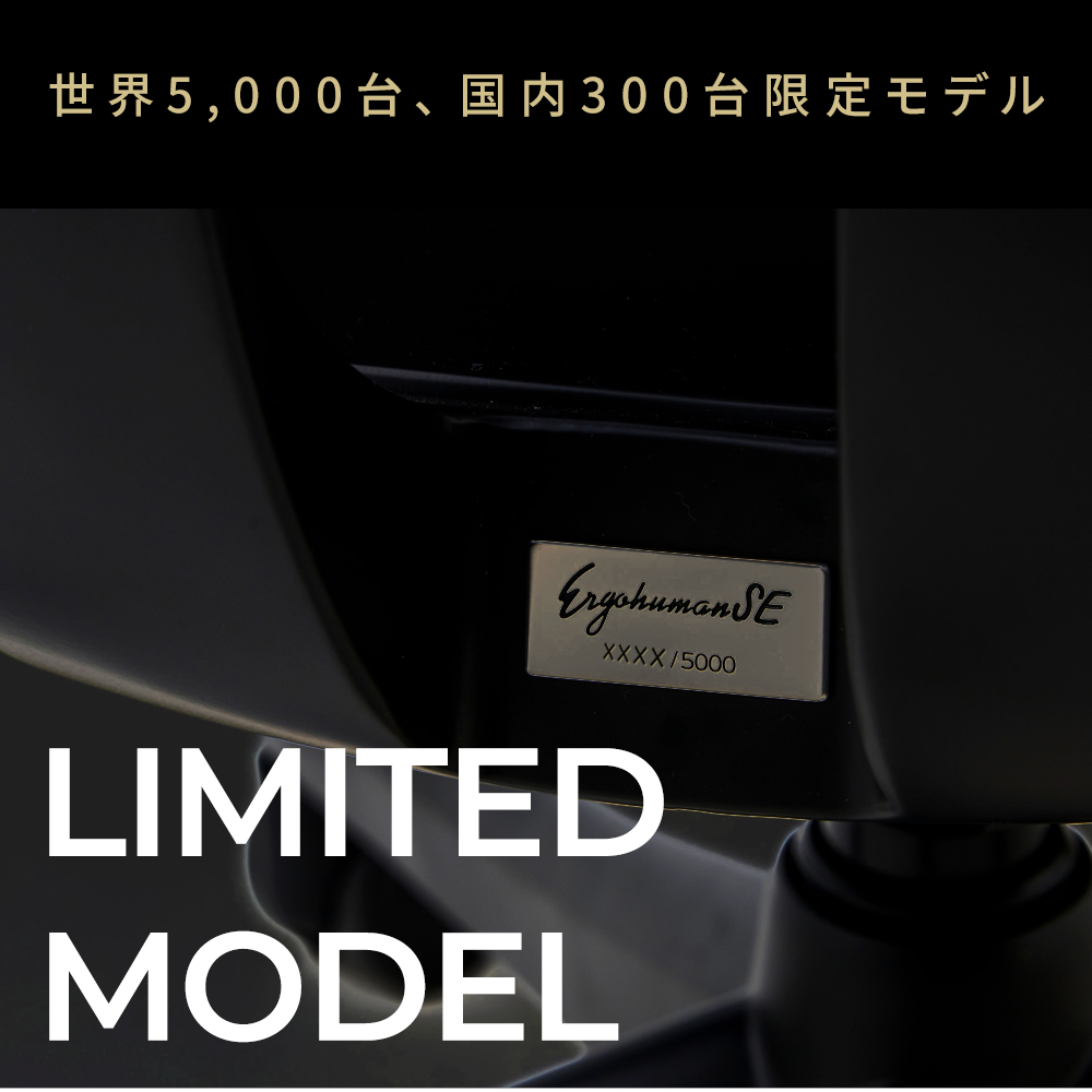 【 300脚 限定モデル 】Ergohuman SE　エルゴヒューマン SE | エルゴヒューマン | 01