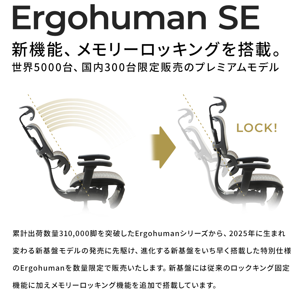 【 300脚 限定モデル 】Ergohuman SE　エルゴヒューマン SE | エルゴヒューマン | 02