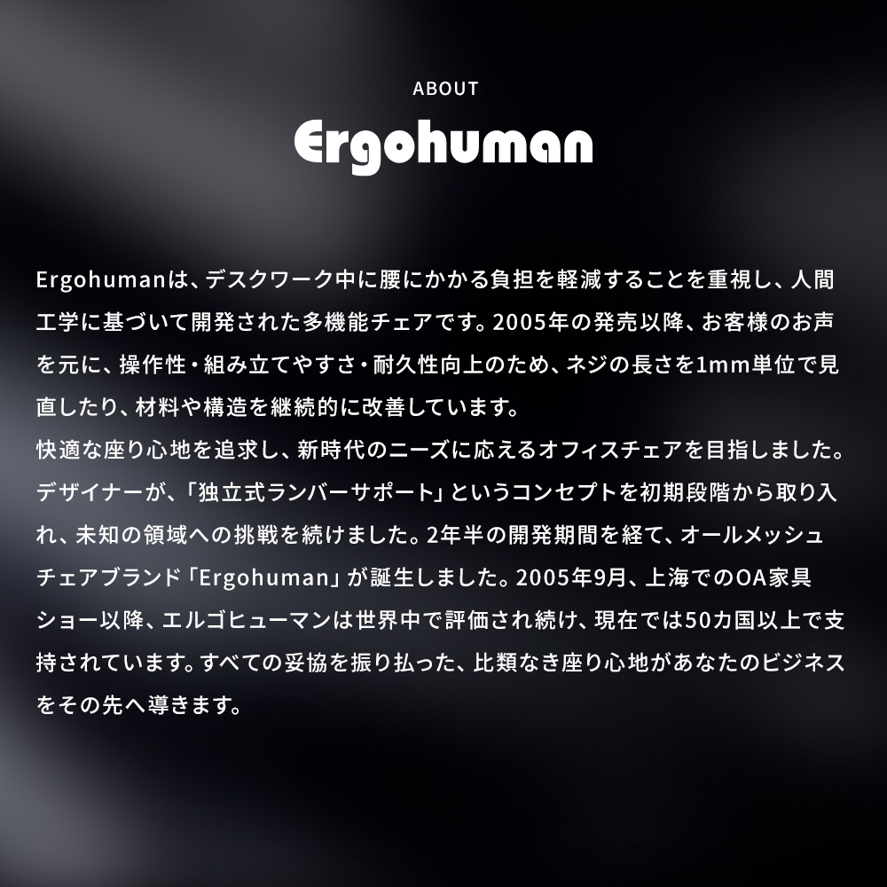 【 300脚 限定モデル 】Ergohuman SE　エルゴヒューマン SE | エルゴヒューマン | 05