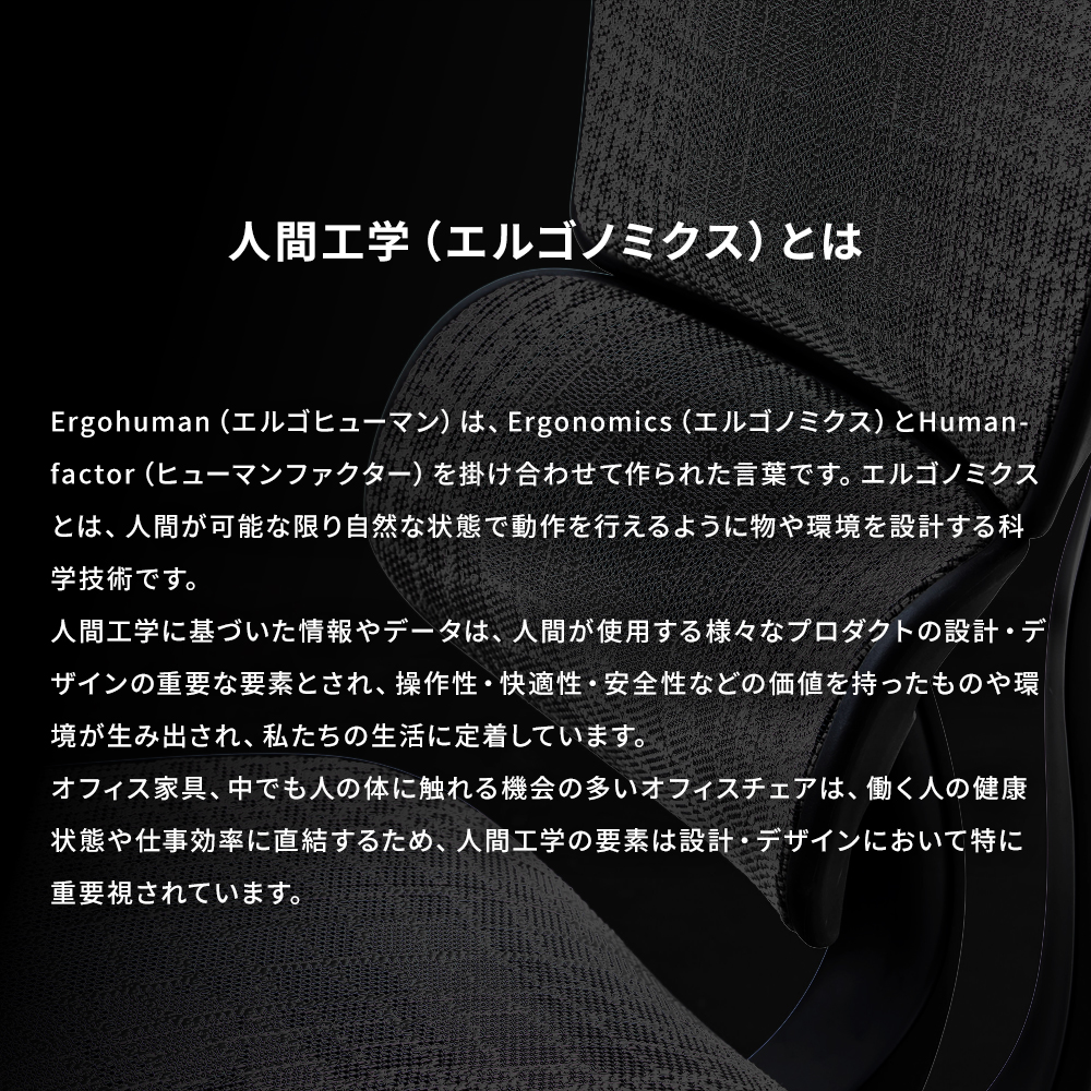 【 300脚 限定モデル 】Ergohuman SE　エルゴヒューマン SE | エルゴヒューマン | 06