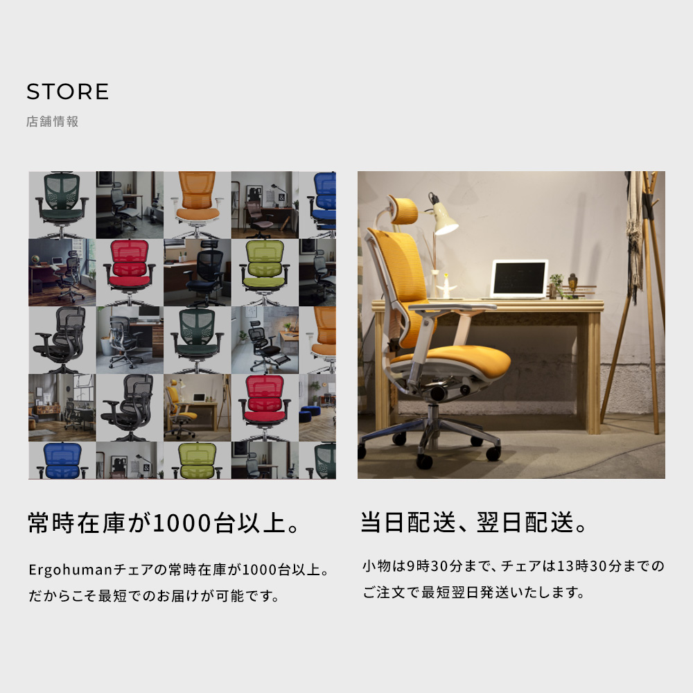 エルゴヒューマン プロ2 オットマン内蔵型 Ergohuman Pro2 ラチェット式オットマン /EGP2 【完成品】 | エルゴヒューマン | 20
