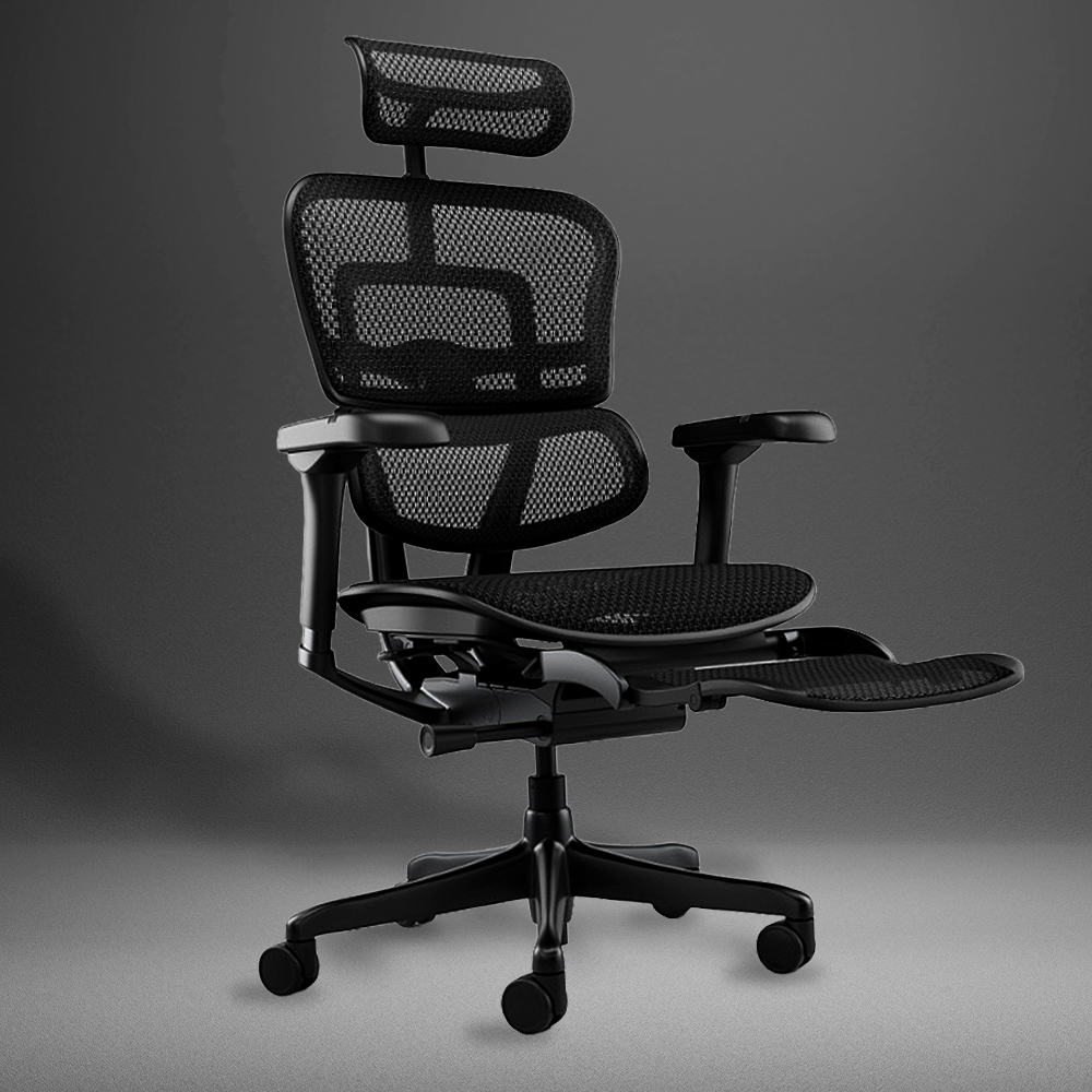 エルゴヒューマン が Tポイント10倍の 特約専門店 | Ergohuman