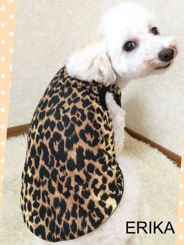 For pets only イタリア製　ヒョウ柄犬服 新品未使用　ニット 秋冬新品プラダ ペットセーター ウール製 綺麗 かわいい ハイ