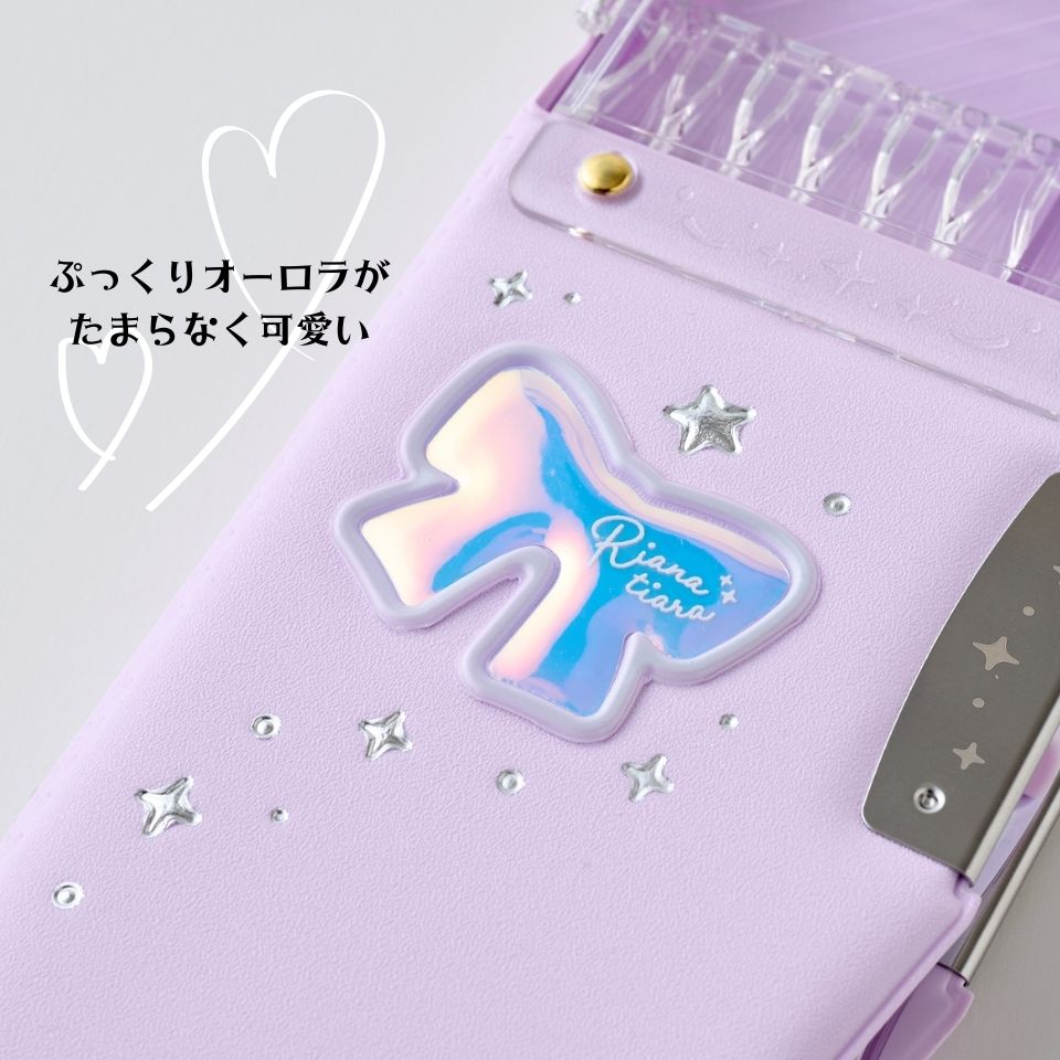 100円OFF/2026年] ソニック 筆箱 うかサポ ロック付 両面 クリア 入学