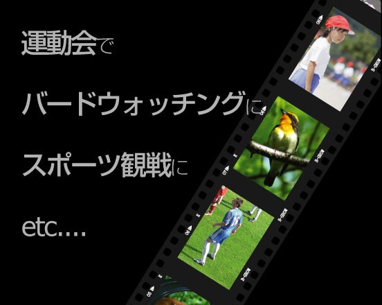 運動会やバードウォッチング等に・・・