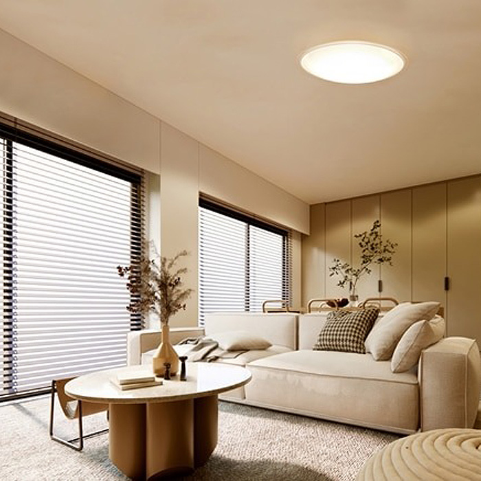 IRIS OHYAMA（アイリスオーヤマ） LED シーリングライト 14畳 薄型 調