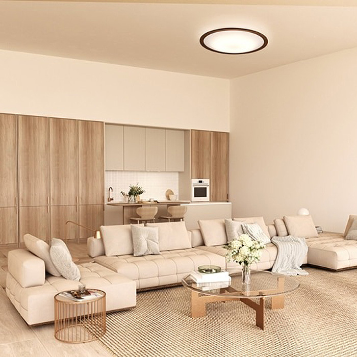 IRIS OHYAMA（アイリスオーヤマ） LED シーリングライト 14畳 薄型 調