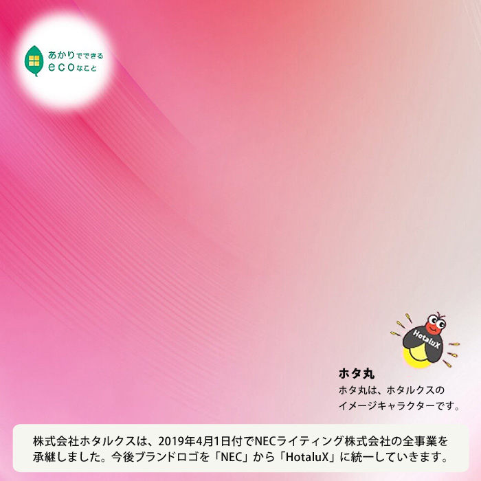ライフルックHGX 「送料無料」 2本パック Hf器具専用 ひときわ明るい