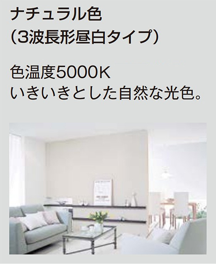 パルック (生産完了品在庫限り)「送料無料」[5個セット] Panasonic
