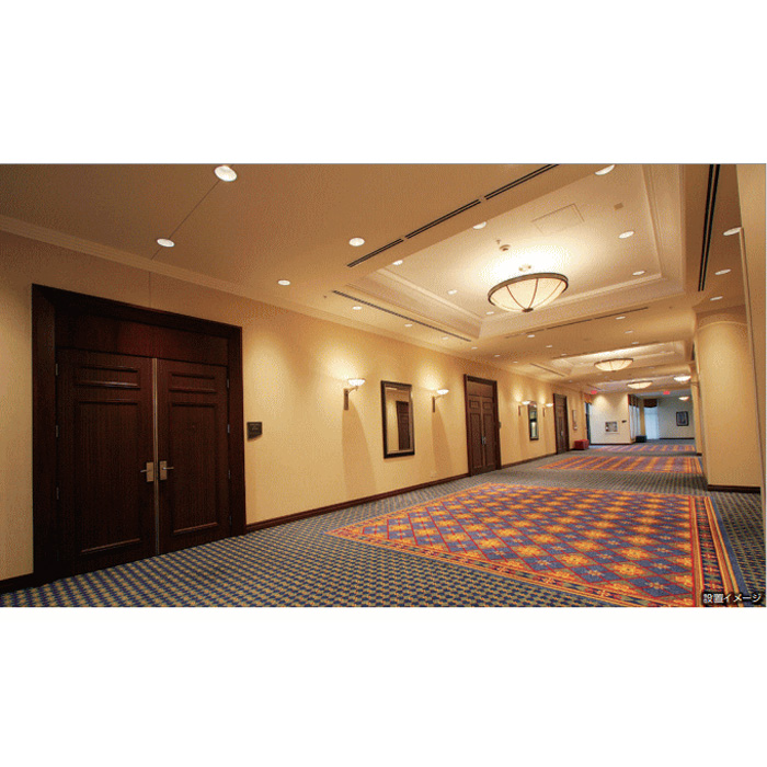 IRIS OHYAMA（アイリスオーヤマ） LSB100-0650NCAW-V3 LEDダウンライト