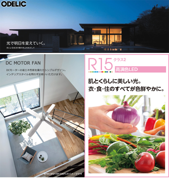 ODELIC（オーデリック） LED シーリングファンライト WF812P1 WF297LR
