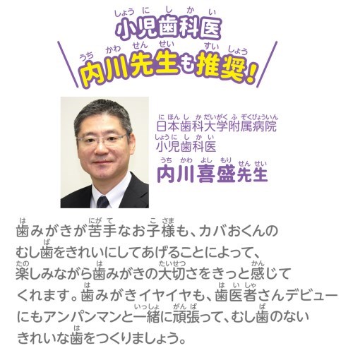 歯がくるりんでピッカピカ アンパンマンおしゃべりはいしゃさん 日本おもちゃ大賞21 ベーシック トイ部門 優秀賞 ハピネットオンラインpaypayモール 通販 Paypayモール