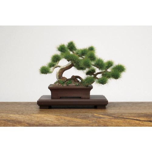 プラッツ 1／12 ザ・盆栽 プラスチックモデルキット -壱-【BON