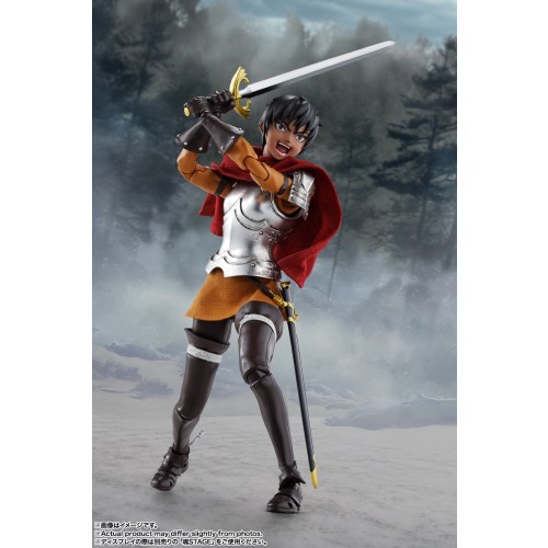 S.H.Figuarts 『ベルセルク』 キャスカ(鷹の団) (塗装済み可動