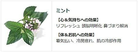 未開封　クナイプ バスソルト　入浴剤　 スーパーミントの香り 850g　夏用 compass1688711724.jpg