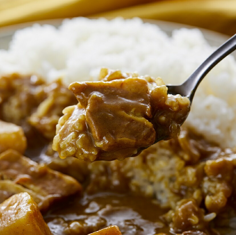NISHIKIYA KITCHEN にしきや ゴロッと野菜と豚バラカレー 270g 