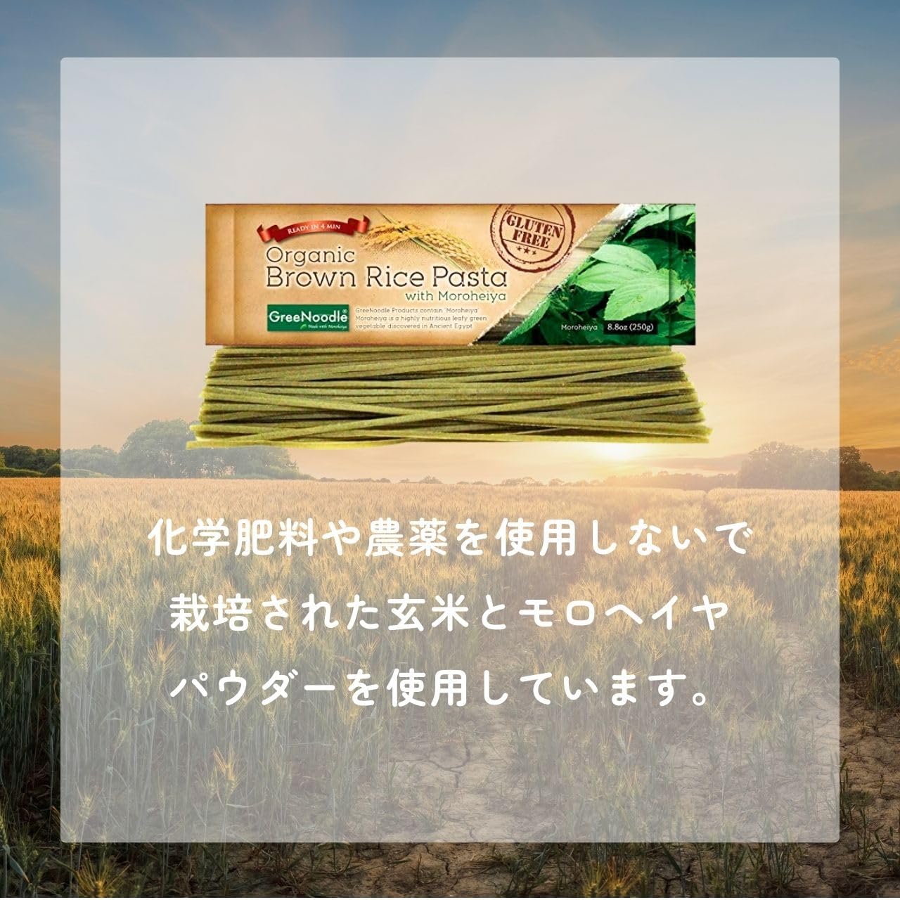 商品画像2