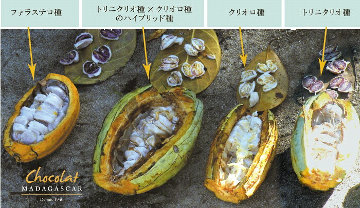 商品画像9