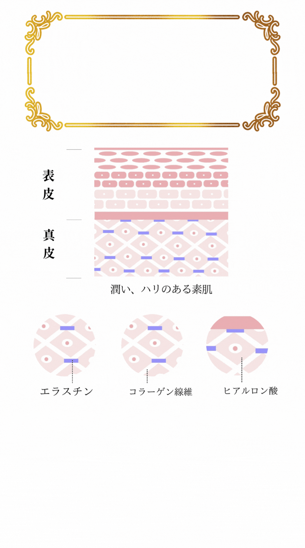 毎日をキラキラ輝かせる美容ゼリー。手軽にコラーゲン補給できるプリムラスター。