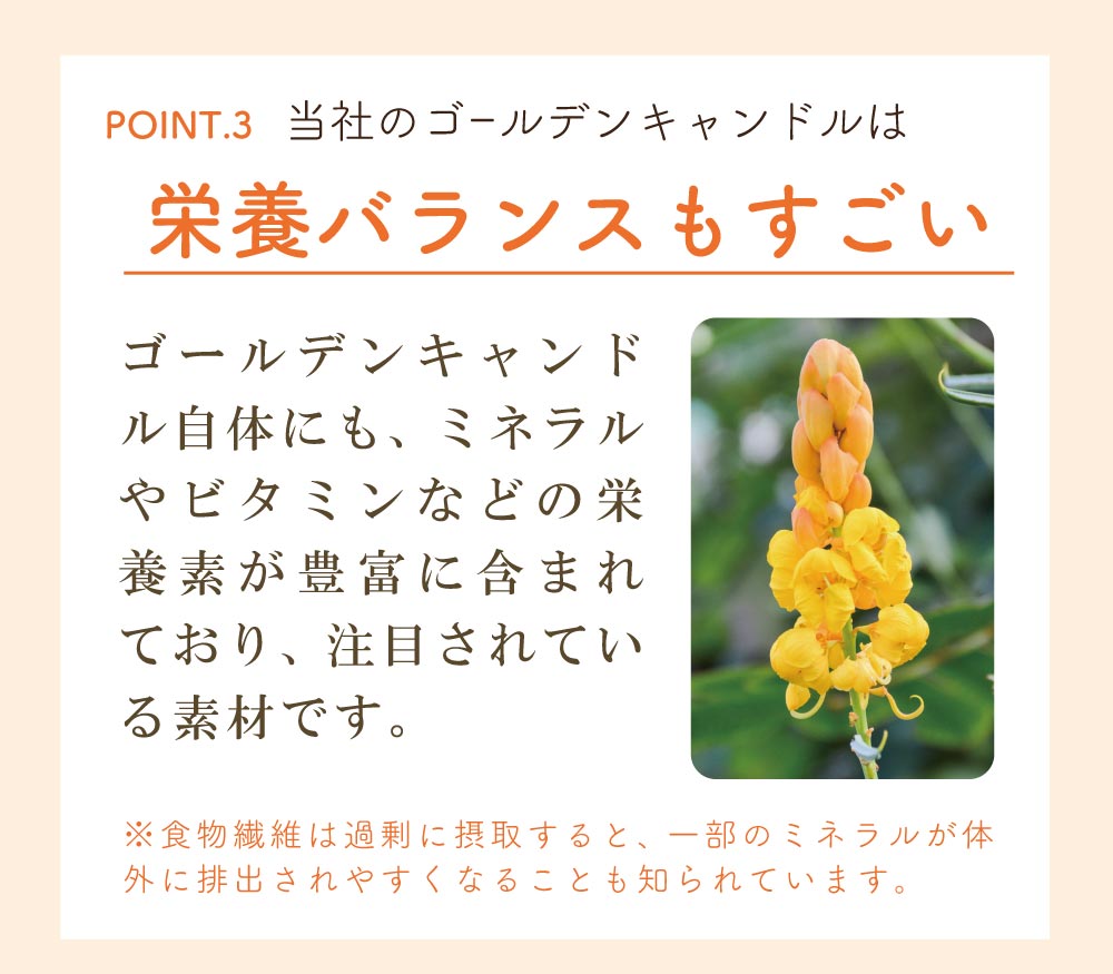 七美茶lp18
