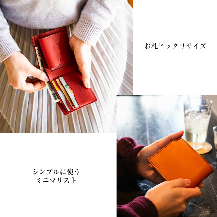 お札にピッタリサイズ