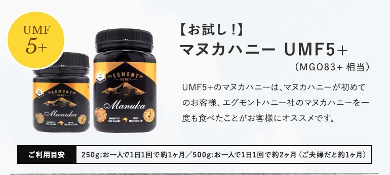 2/28まで20％OFF マヌカハニーUMF15+ MGO515+相当 250g 送料無料