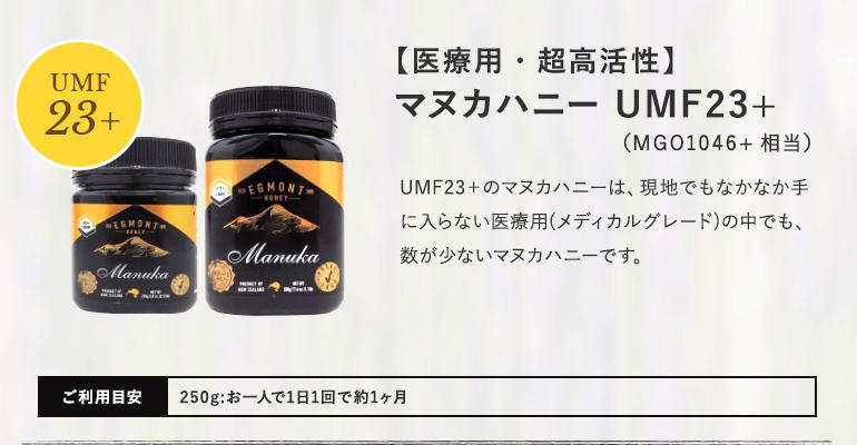 BeeMe 最高峰 マヌカハニー UMF25+ MGO1200相当 250g 送料無料 BeeMe 最高峰 マヌカハニー UMF25+ MGO1200相当 250g 送料無料