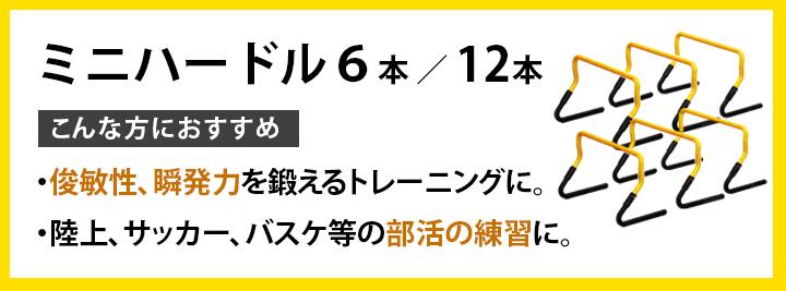 組み合わせて広がるトレーニング ミニハードル