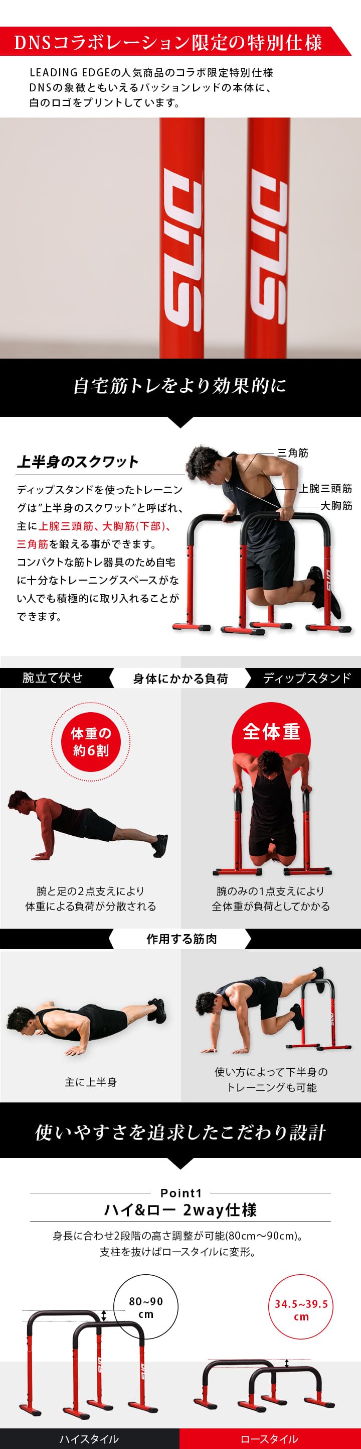 DNSコラボレーション限定の特別仕様