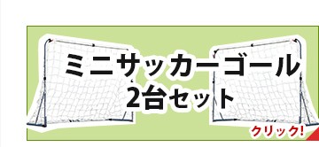 ミニサッカーゴール2台セット