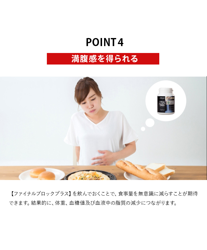 ファインラボ ファイン・ラボ FINE LAB ファイナルブロック