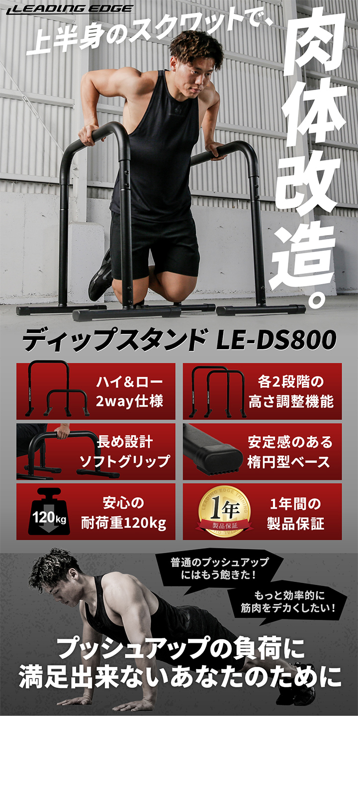 リーディングエッジ ディップスタンド LE-DS800 ディップス　スタンド