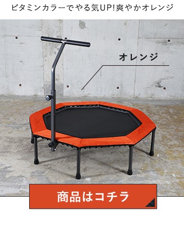 LEADING EDGE（リーディングエッジ） フィットネストランポリン カバー