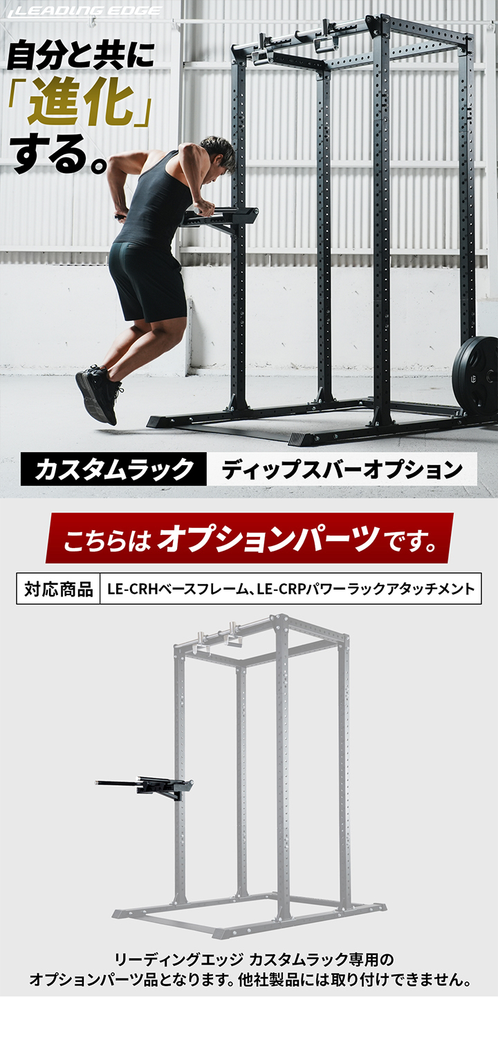 LEADING EDGE（リーディングエッジ） ディップスバー オプション LE