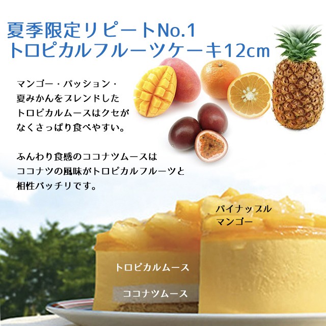 お中元 夏ギフト 季節限定 フルーツタルト トロピカルフルーツケーキ 夏のギフト12cmセット ケーキ スイーツ お取り寄せ