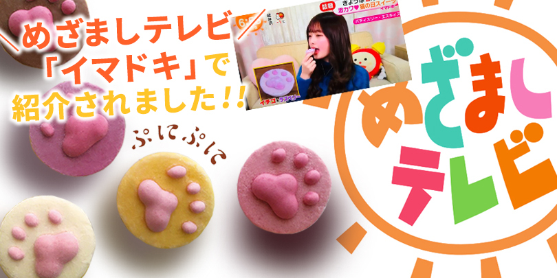 エスキィスにくきゅうギモーヴ