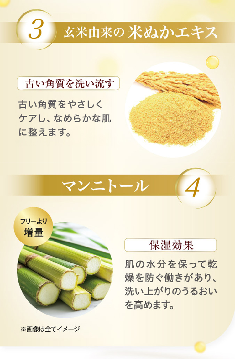 パパウォッシュ 酵素パウダー白椿パパウォッシュ ボトル 60g 酵素 粉