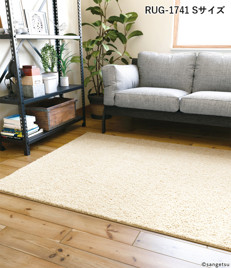 rug-1741_2.jpg