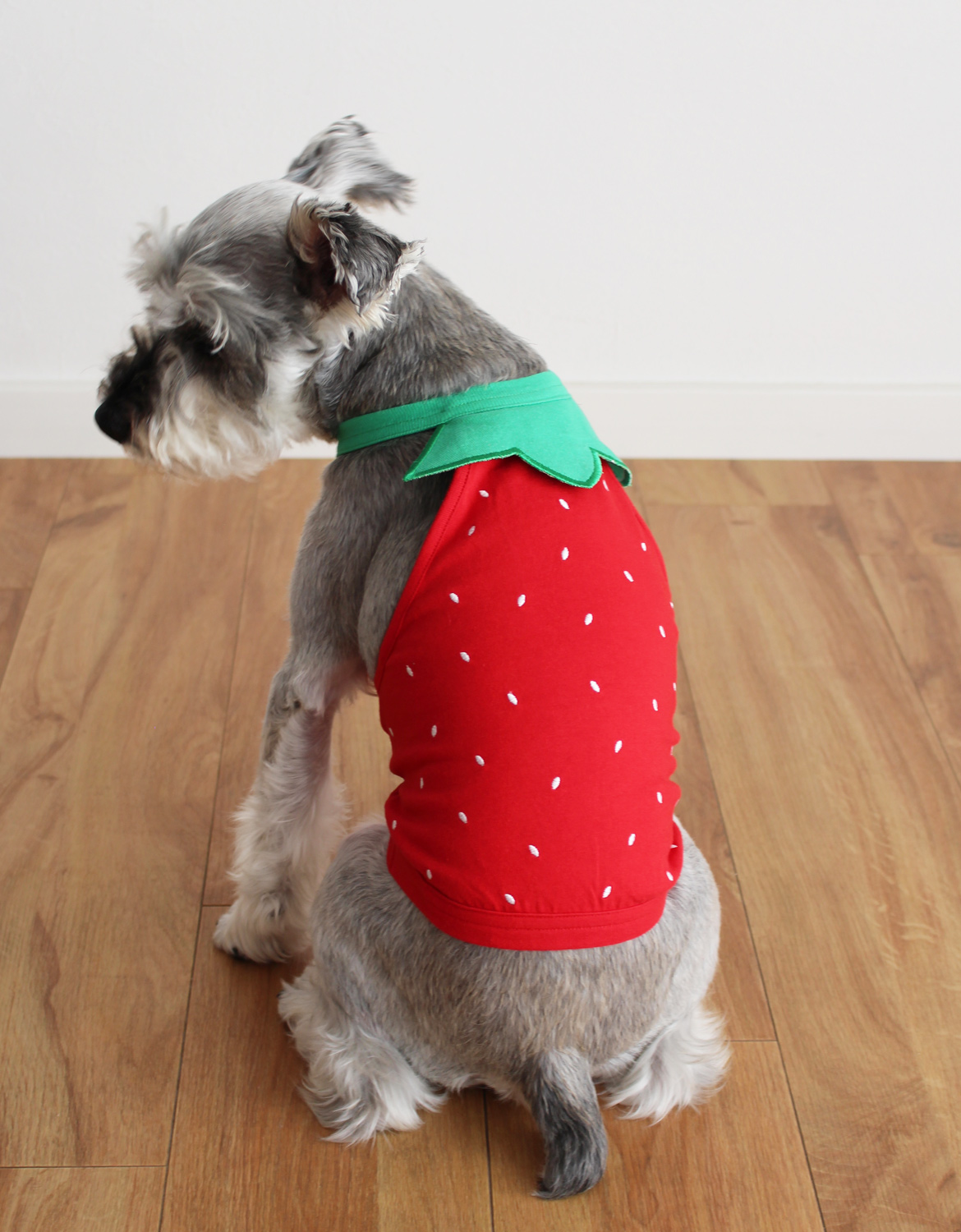 パイナップルデザイン パイン イチゴ 苺 ストロベリー トップス 犬服