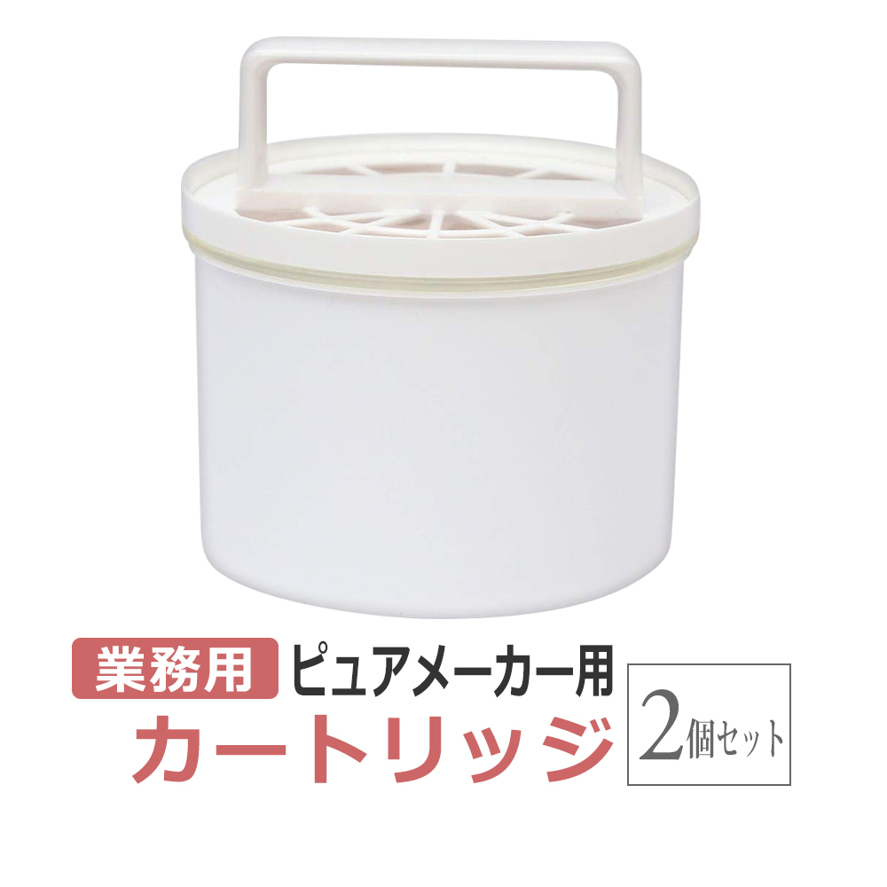 ピュアメーカー カートリッジ 2個セット / エステ業務用 精製水器（純水器) PURE MAKER用 フィルター / 即日発送・あすつく