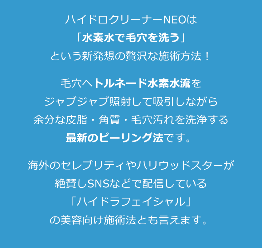 リモート納品研修付！日本製 ハイドロ クリーナーNEO 業務用 毛穴洗浄